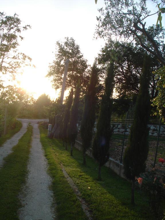 Agriturismo La Fattoria 산도나토발디코미노 외부 사진