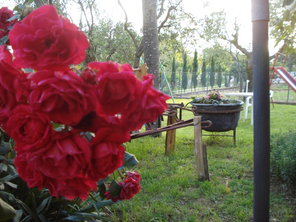 Agriturismo La Fattoria 산도나토발디코미노 외부 사진